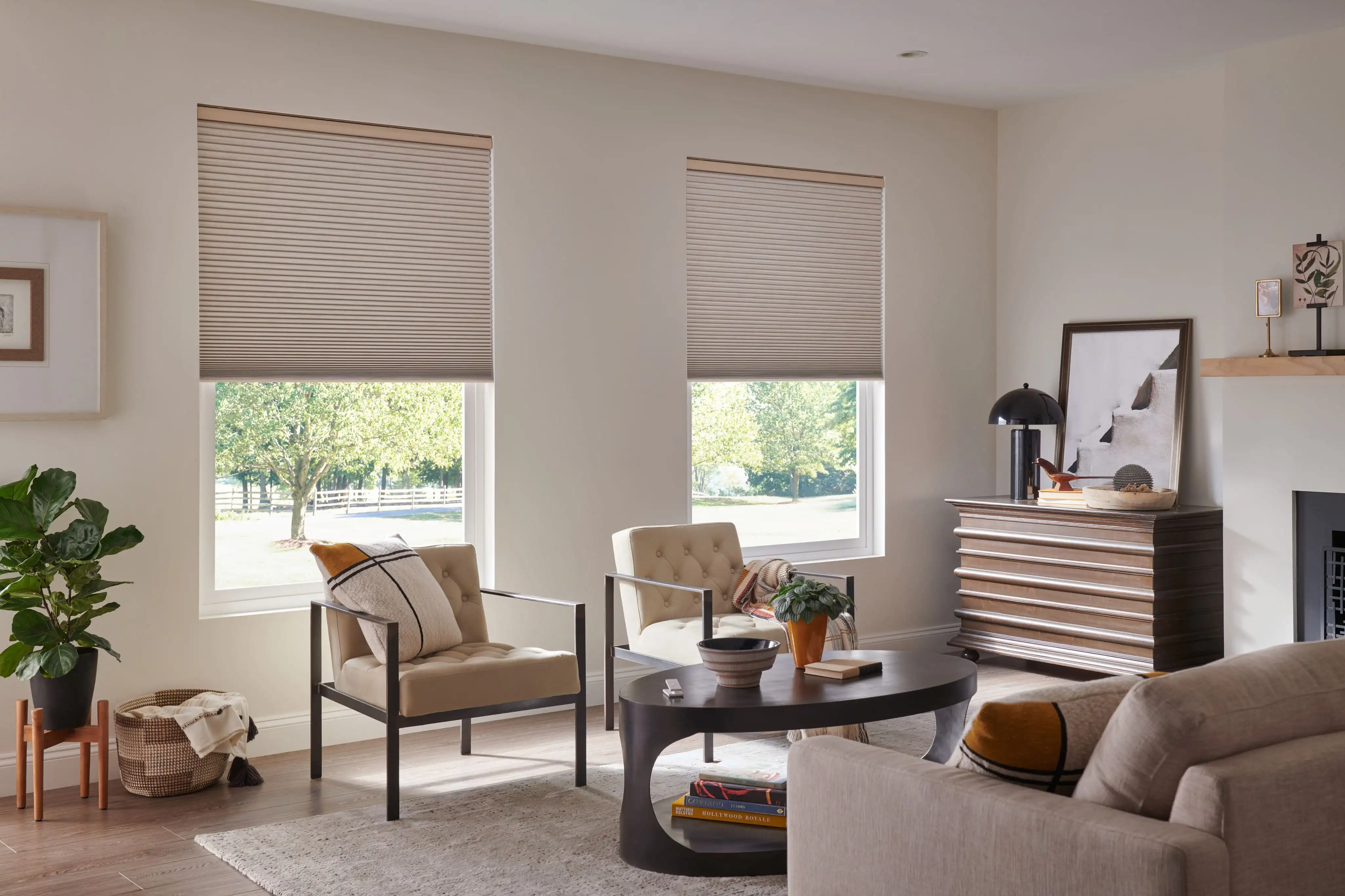 Lutron honeycomb blinds