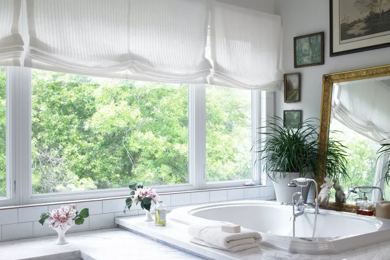 Lutron luxury Roman blinds