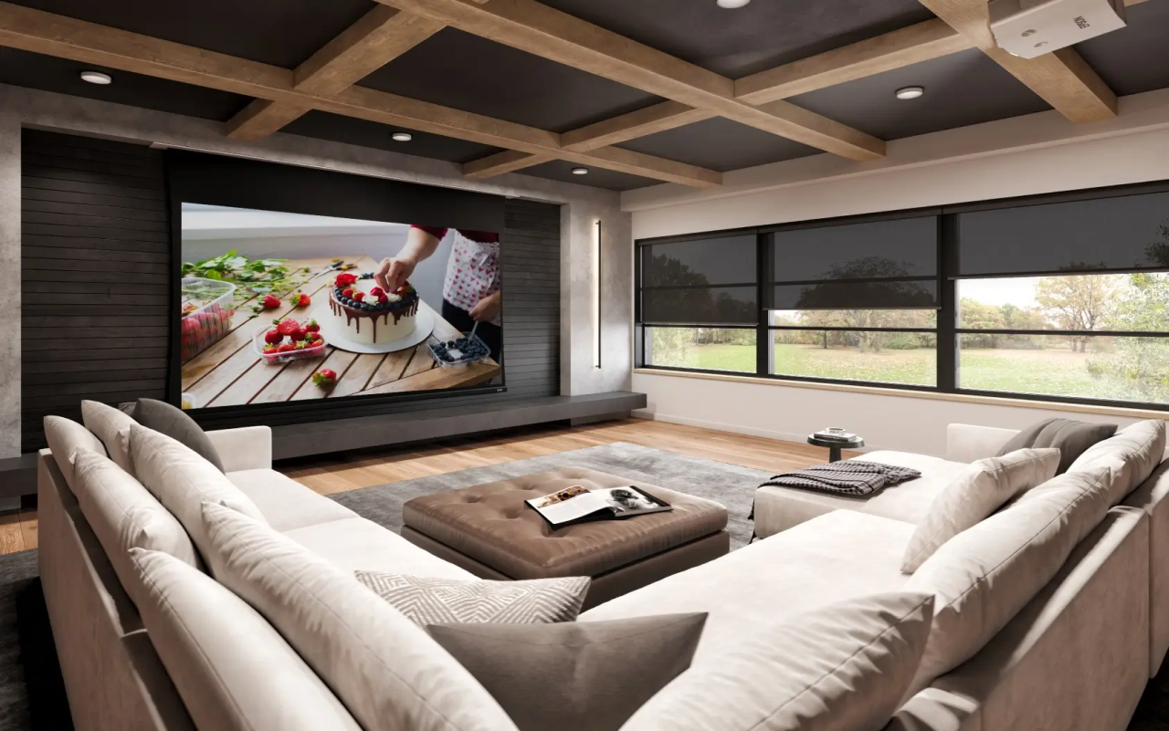 Screen Innovations Home Theater Projector Screen