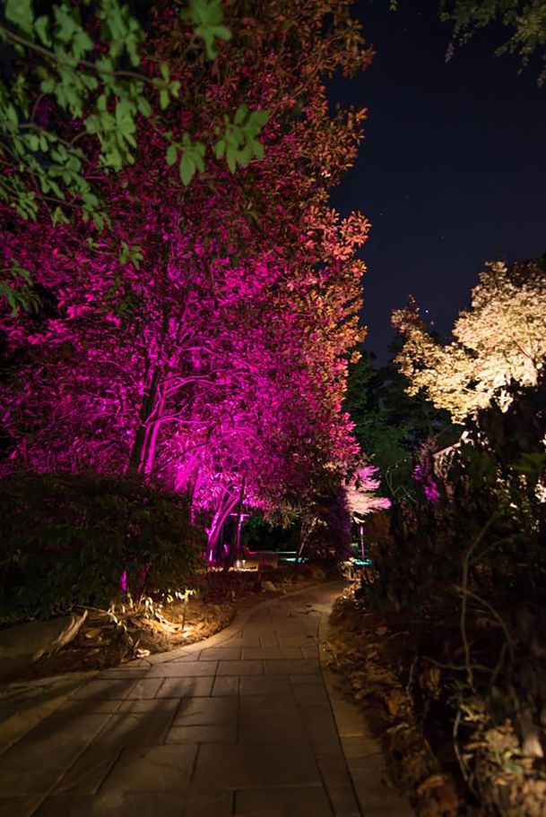 FX Luminaire Luxor Tree